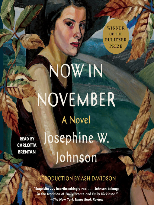 Title details for Now in November by Josephine Johnson - Wait list